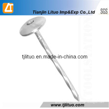 Q195 Twisted Shank Umbrella Head Roofing Clavos